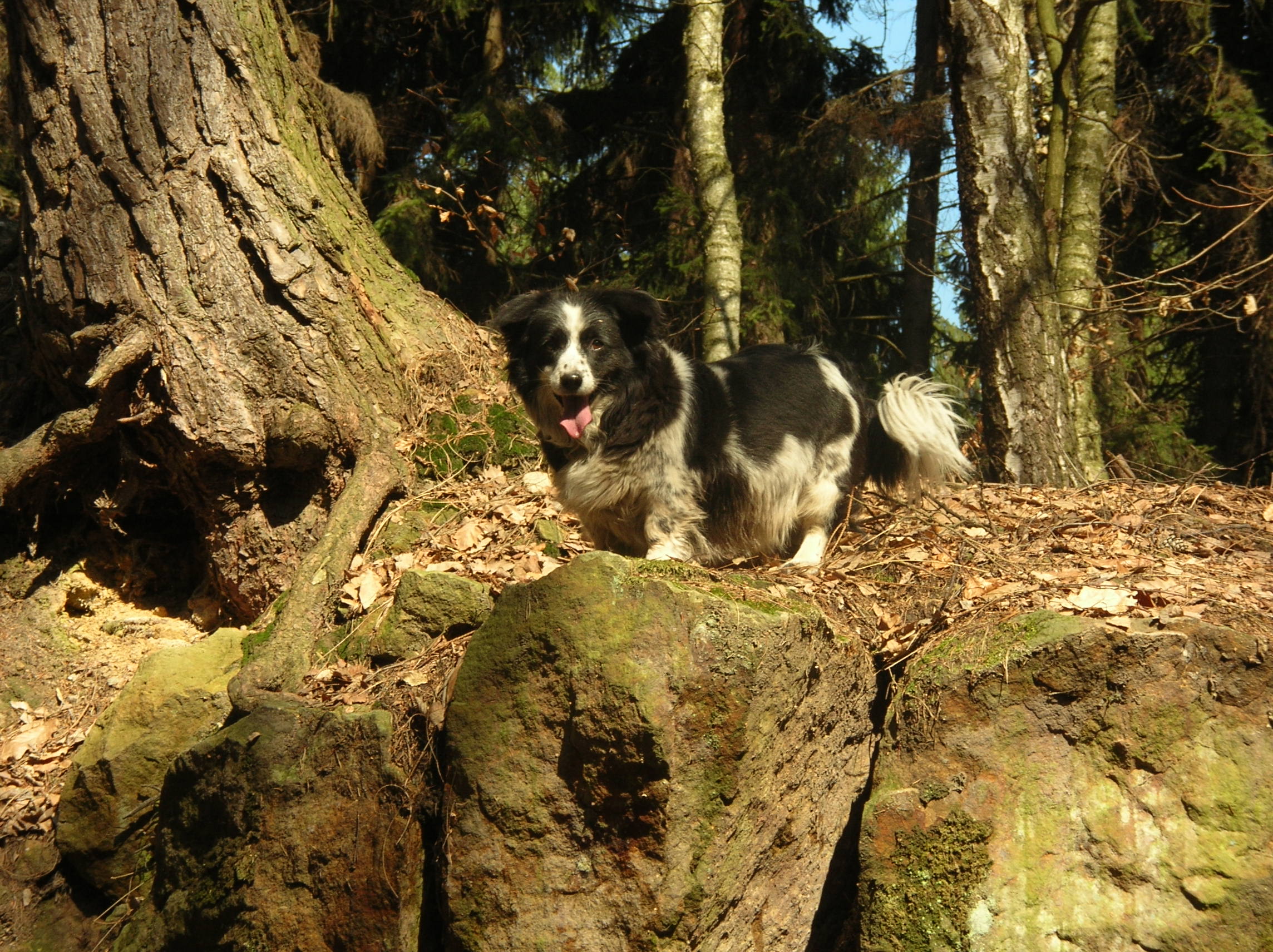 DSCN4028.JPG